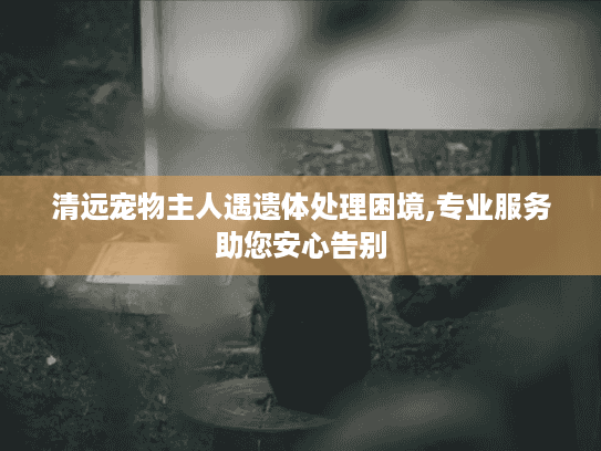 清远宠物主人遇遗体处理困境,专业服务助您安心告别