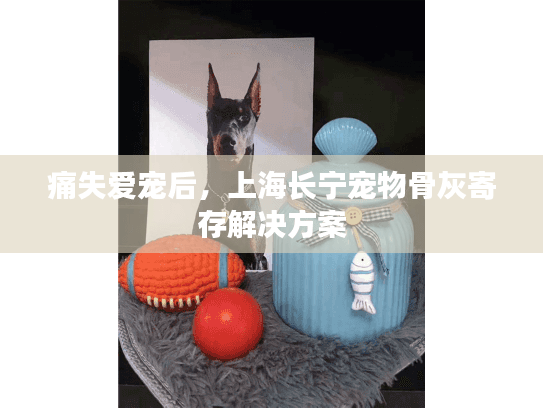 痛失爱宠后，上海长宁宠物骨灰寄存解决方案
