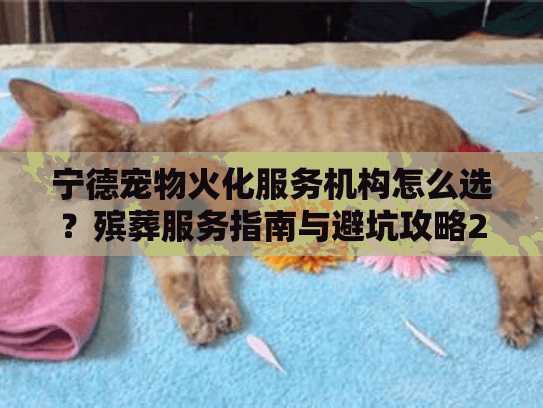 宁德宠物火化服务机构怎么选？殡葬服务指南与避坑攻略2025