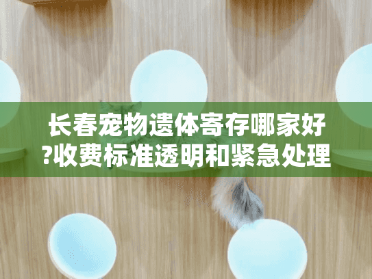 长春宠物遗体寄存哪家好?收费标准透明和紧急处理专业的机构推荐