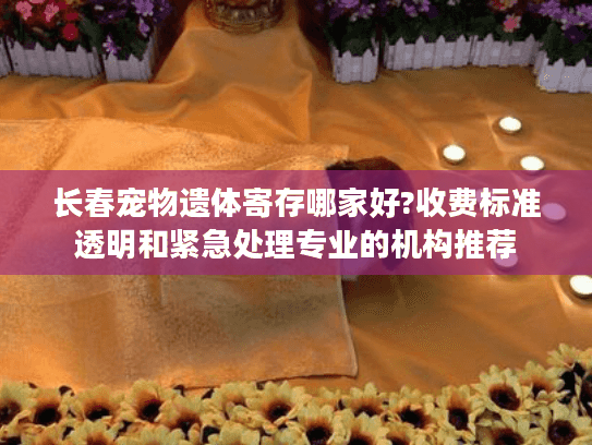 长春宠物遗体寄存哪家好?收费标准透明和紧急处理专业的机构推荐