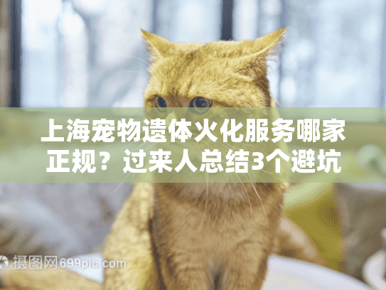 上海宠物遗体火化服务哪家正规？过来人总结3个避坑指南