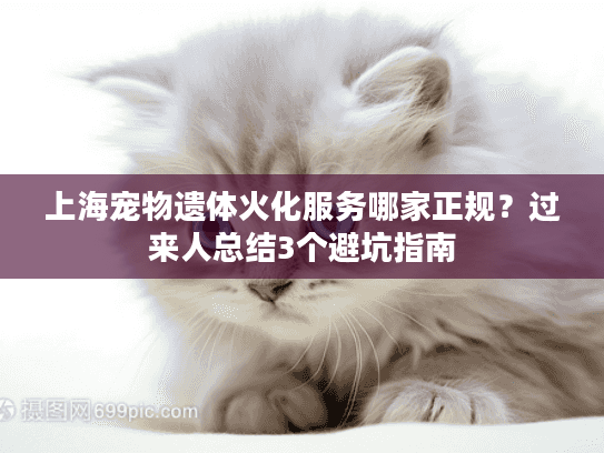 上海宠物遗体火化服务哪家正规？过来人总结3个避坑指南