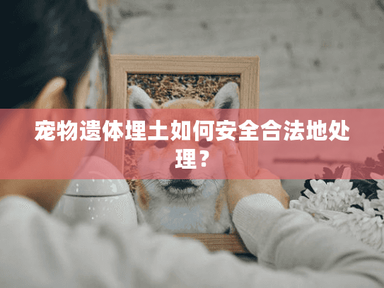 宠物遗体埋土如何安全合法地处理？