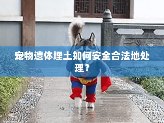 宠物遗体埋土如何安全合法地处理？