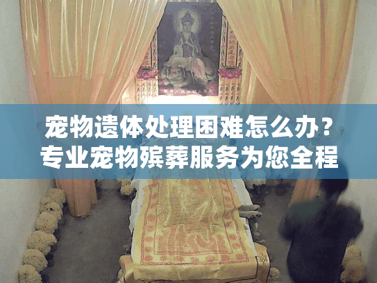 宠物遗体处理困难怎么办？专业宠物殡葬服务为您全程守护