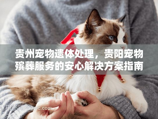 贵州宠物遗体处理，贵阳宠物殡葬服务的安心解决方案指南
