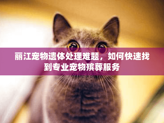 丽江宠物遗体处理难题，如何快速找到专业宠物殡葬服务