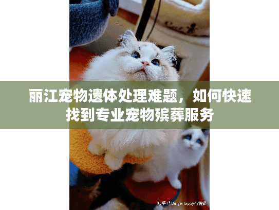 丽江宠物遗体处理难题，如何快速找到专业宠物殡葬服务