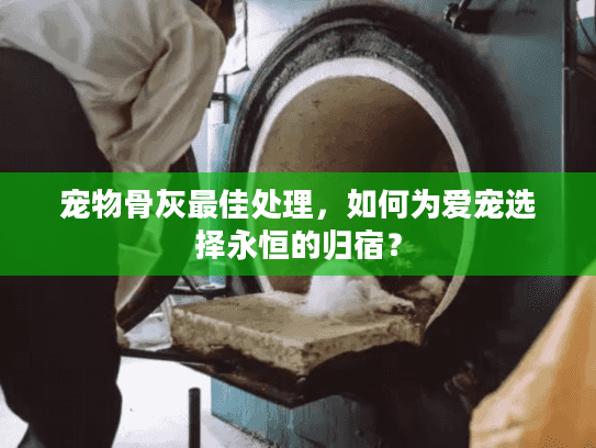 宠物骨灰最佳处理，如何为爱宠选择永恒的归宿？