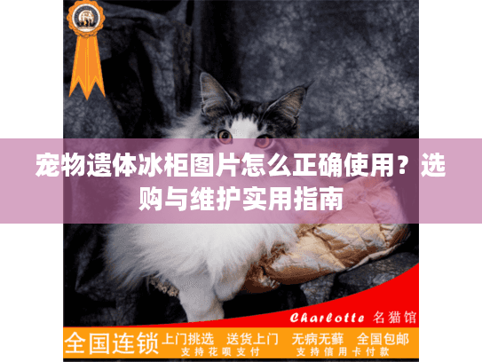 宠物遗体冰柜图片怎么正确使用？选购与维护实用指南