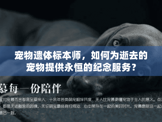 宠物遗体标本师，如何为逝去的宠物提供永恒的纪念服务？