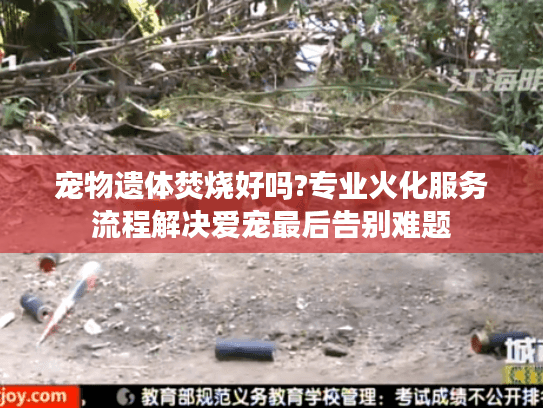 宠物遗体焚烧好吗?专业火化服务流程解决爱宠最后告别难题