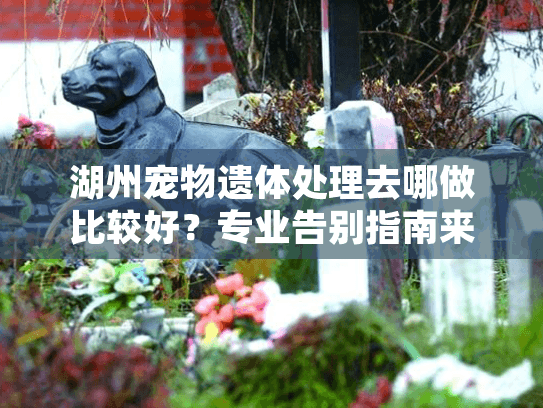 湖州宠物遗体处理去哪做比较好？专业告别指南来了