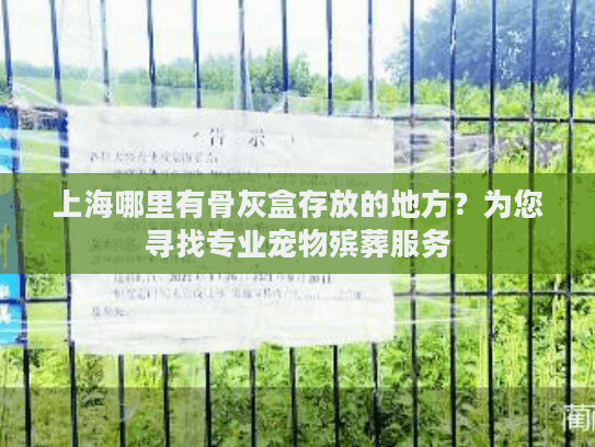 上海哪里有骨灰盒存放的地方？为您寻找专业宠物殡葬服务