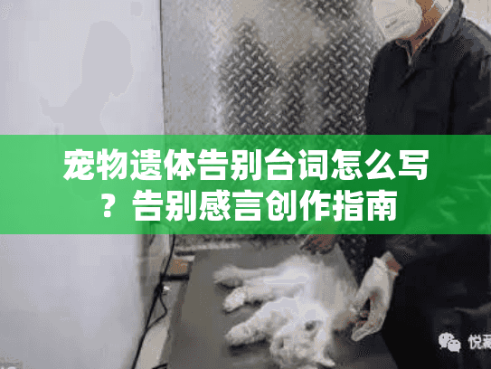 宠物遗体告别台词怎么写？告别感言创作指南