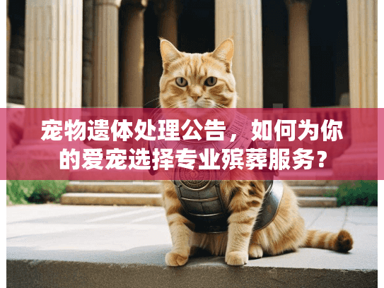 宠物遗体处理公告，如何为你的爱宠选择专业殡葬服务？