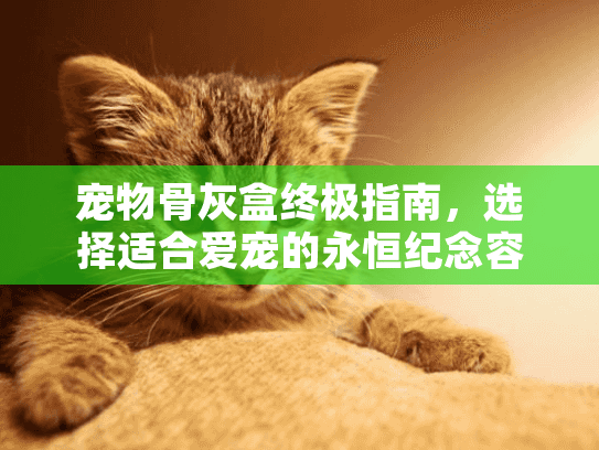 宠物骨灰盒终极指南，选择适合爱宠的永恒纪念容器