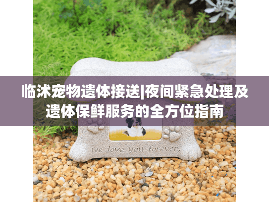 临沭宠物遗体接送|夜间紧急处理及遗体保鲜服务的全方位指南