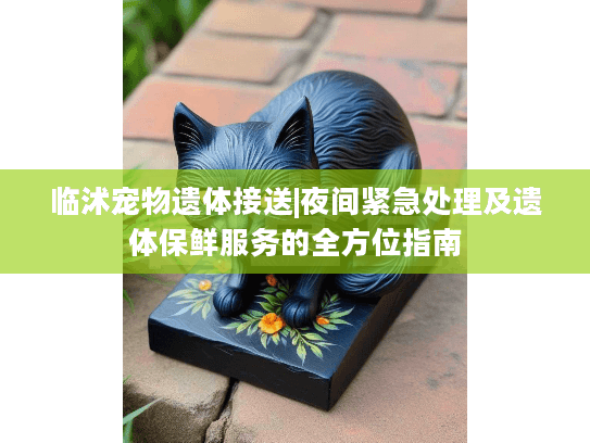 临沭宠物遗体接送|夜间紧急处理及遗体保鲜服务的全方位指南