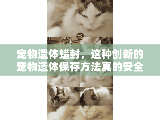 宠物遗体蜡封，这种创新的宠物遗体保存方法真的安全环保吗？
