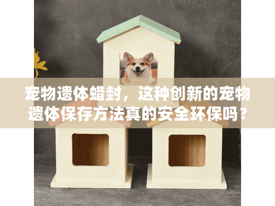 宠物遗体蜡封，这种创新的宠物遗体保存方法真的安全环保吗？