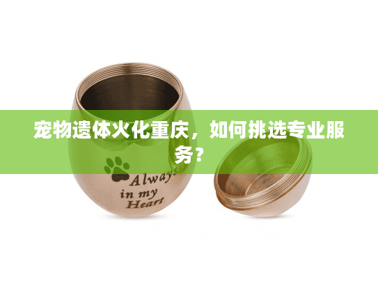宠物遗体火化重庆，如何挑选专业服务？