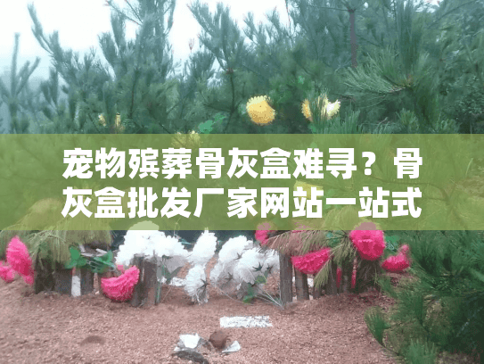 宠物殡葬骨灰盒难寻？骨灰盒批发厂家网站一站式解决