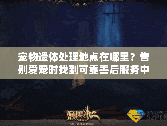宠物遗体处理地点在哪里？告别爱宠时找到可靠善后服务中心指南