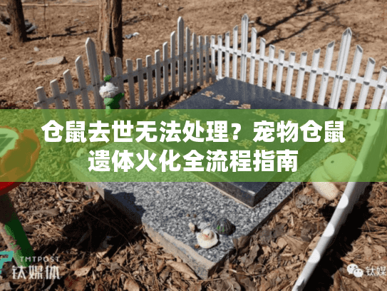 仓鼠去世无法处理?宠物仓鼠遗体火化全流程指南 仓鼠去世无法处理?宠物仓鼠遗体火化全流程指南