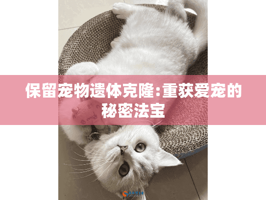 保留宠物遗体克隆:重获爱宠的秘密法宝