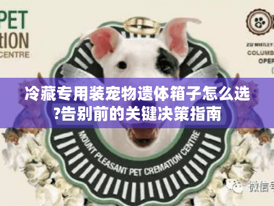 冷藏专用装宠物遗体箱子怎么选?告别前的关键决策指南