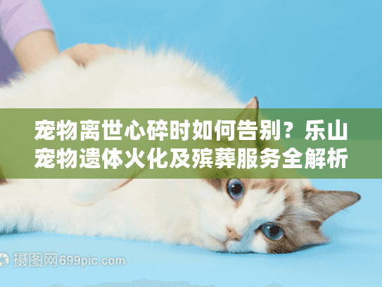 宠物离世心碎时如何告别？乐山宠物遗体火化及殡葬服务全解析