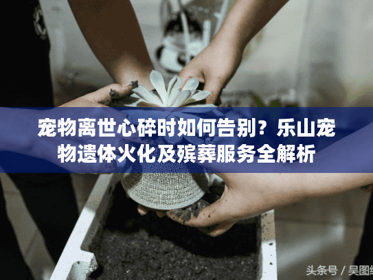 宠物离世心碎时如何告别？乐山宠物遗体火化及殡葬服务全解析