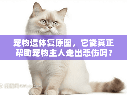 宠物遗体复原图，它能真正帮助宠物主人走出悲伤吗？