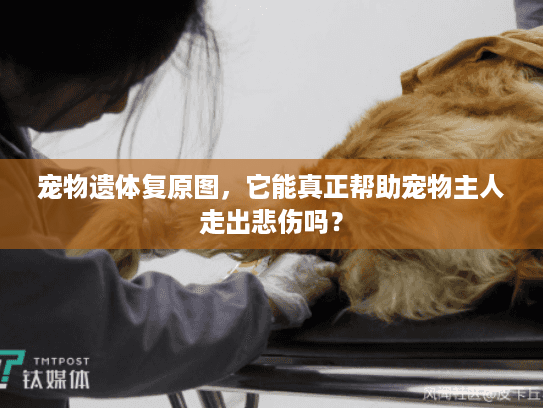 宠物遗体复原图，它能真正帮助宠物主人走出悲伤吗？