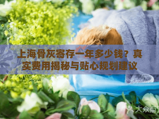 上海骨灰寄存一年多少钱？真实费用揭秘与贴心规划建议