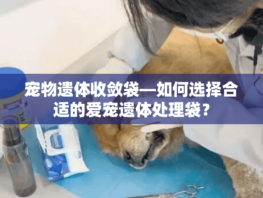 宠物遗体收敛袋—如何选择合适的爱宠遗体处理袋？