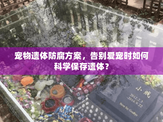 宠物遗体防腐方案，告别爱宠时如何科学保存遗体？