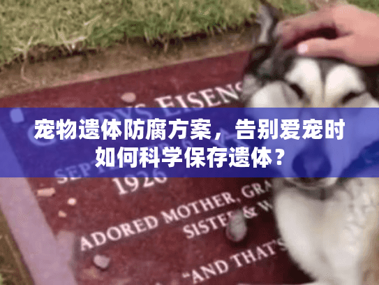 宠物遗体防腐方案，告别爱宠时如何科学保存遗体？