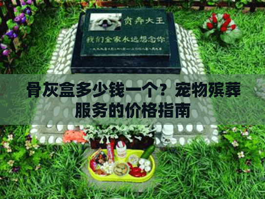骨灰盒多少钱一个？宠物殡葬服务的价格指南