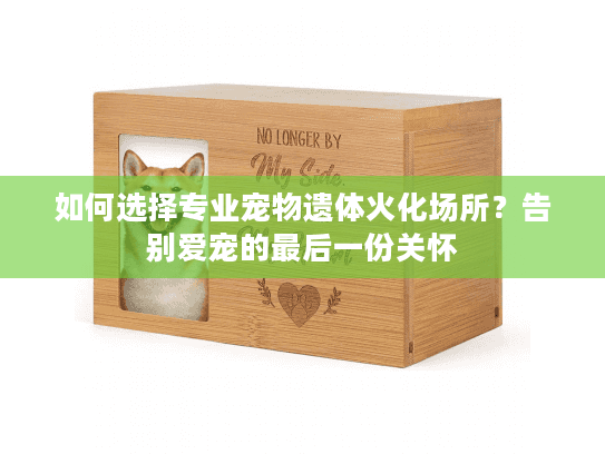 如何选择专业宠物遗体火化场所？告别爱宠的最后一份关怀