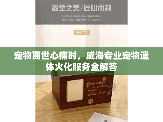 宠物离世心痛时，威海专业宠物遗体火化服务全解答