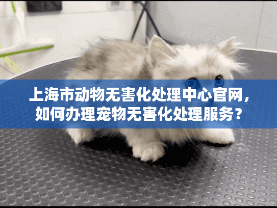 上海市动物无害化处理中心官网，如何办理宠物无害化处理服务？