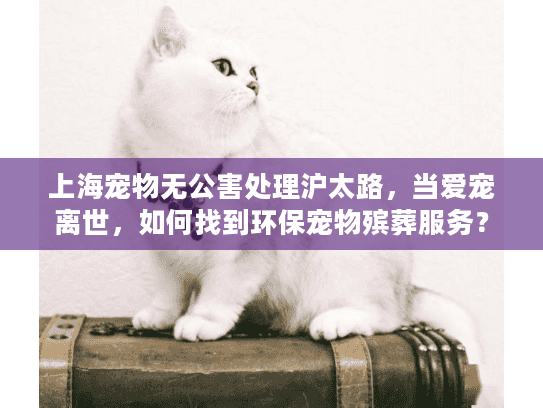 上海宠物无公害处理沪太路，当爱宠离世，如何找到环保宠物殡葬服务？