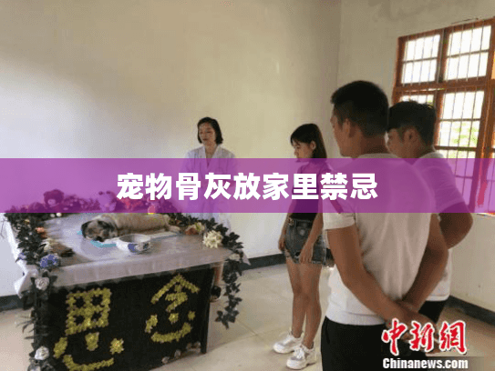 宠物骨灰放家里禁忌