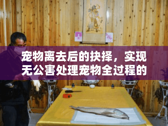 宠物离去后的抉择，实现无公害处理宠物全过程的环保方案