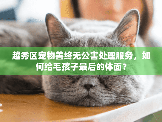 越秀区宠物善终无公害处理服务，如何给毛孩子最后的体面？