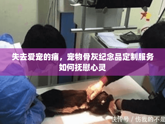 失去爱宠的痛，宠物骨灰纪念品定制服务如何抚慰心灵