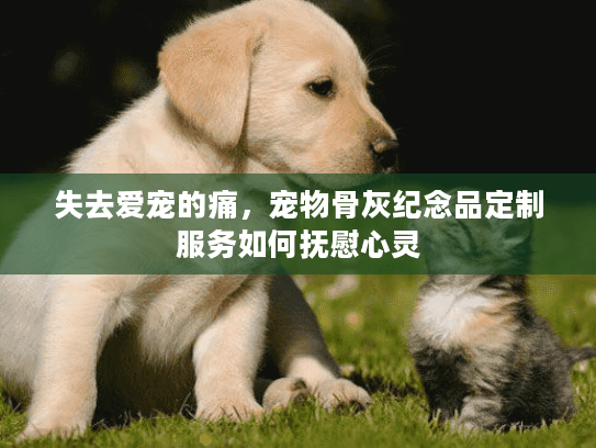 失去爱宠的痛，宠物骨灰纪念品定制服务如何抚慰心灵